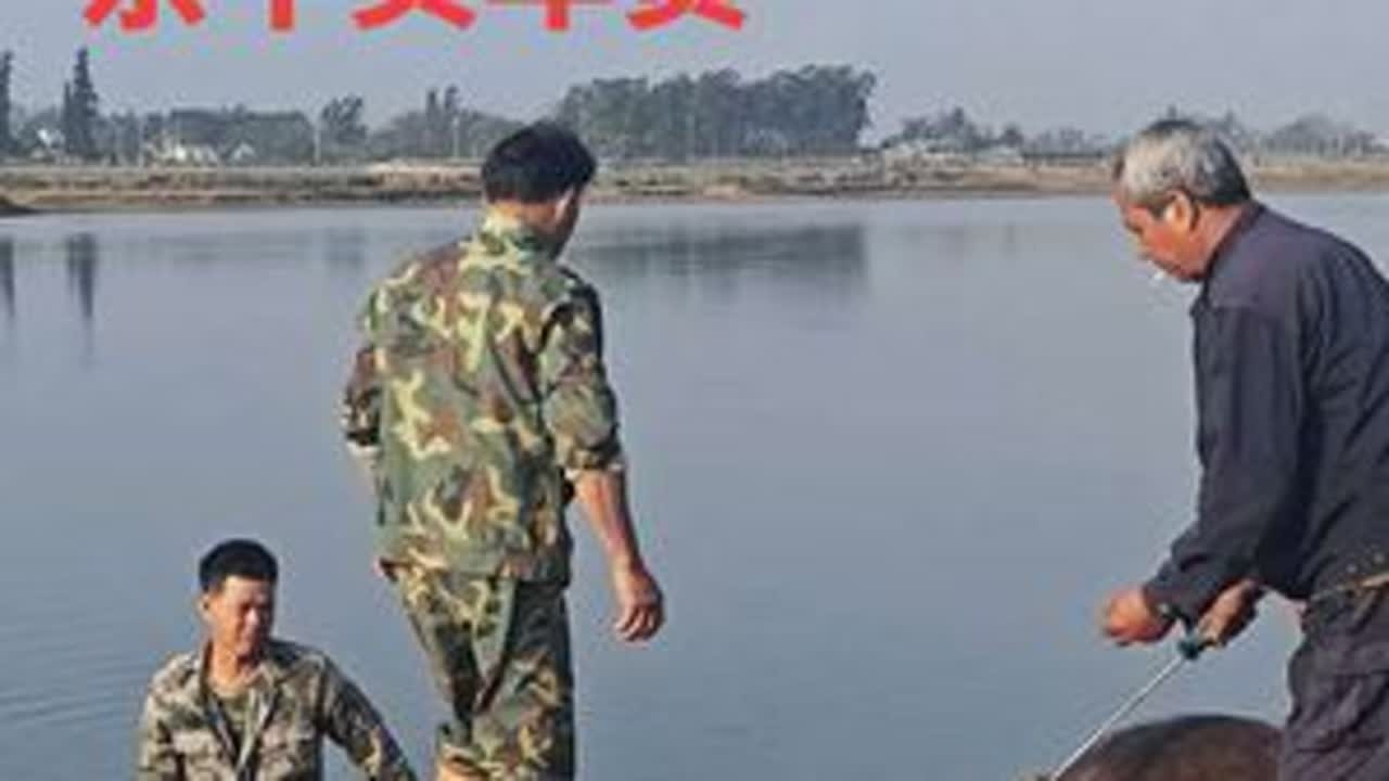 牛是昨天鲨的，年货是今天买的，视频是刚刚剪的，凑合的看吧#家乡年俗大赏 #村里过年的快乐谁懂 #哈明玩海 #春节气氛组已就位 #乌烈镇