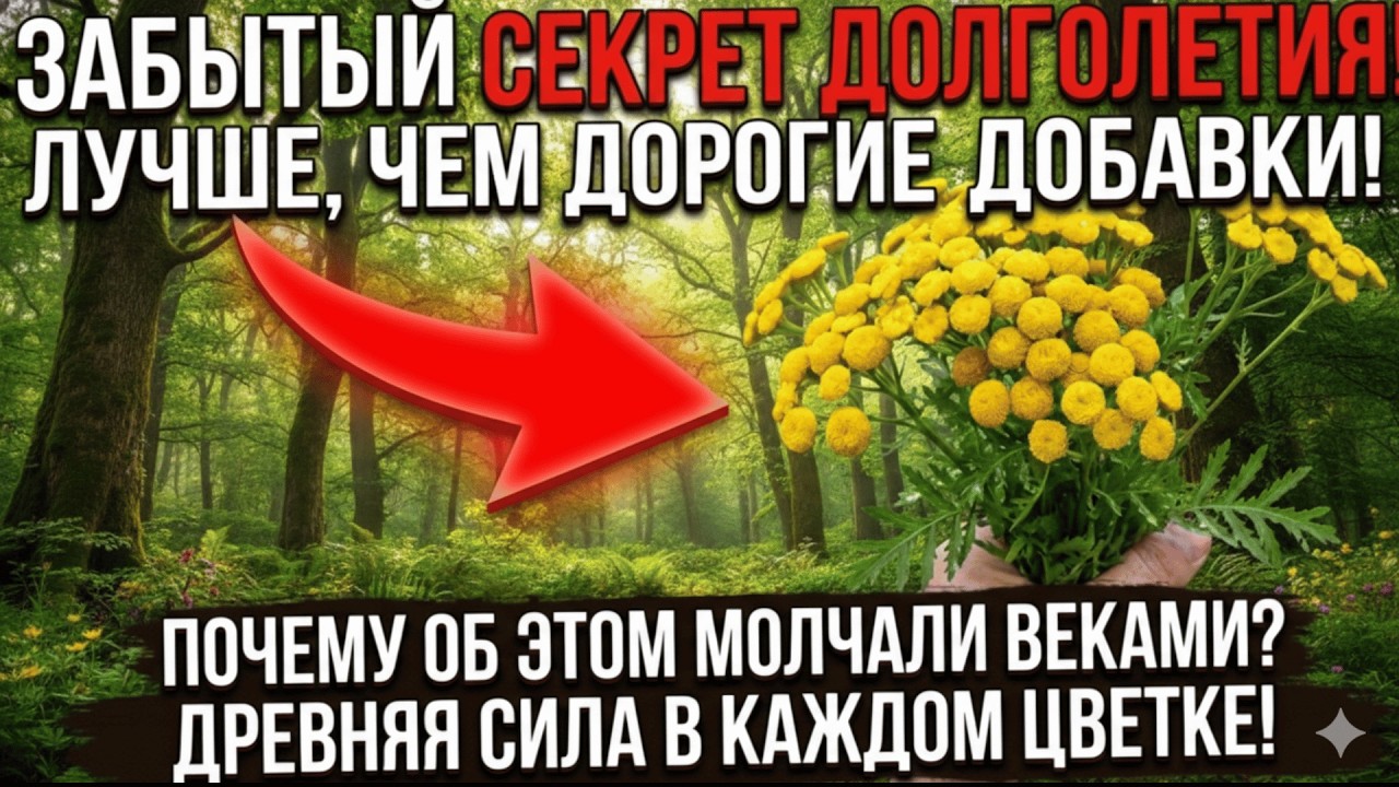 Тысячу лет она служила аптекой для всех, но со временем перестала быть выгодной | забытая кухня