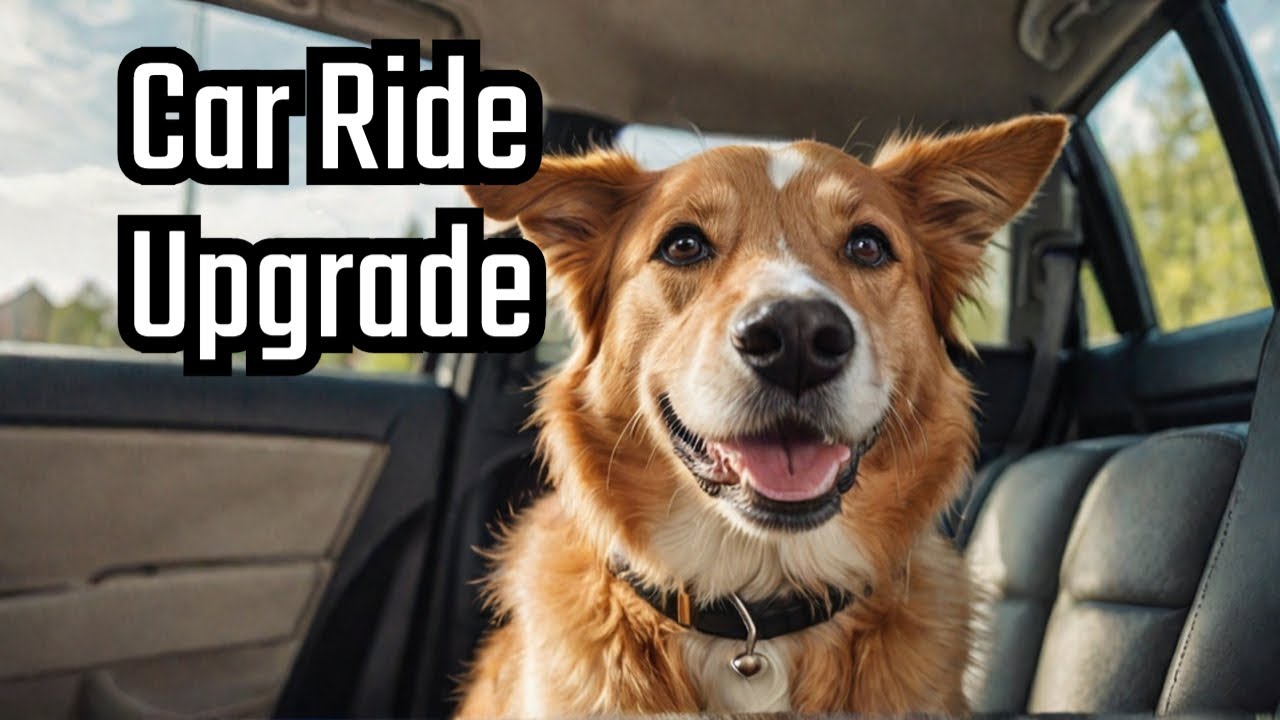 Enhance Your Pet&rsquo;s Car Rides with the Back Seat Extender for Dogs | 2024 Upgrade