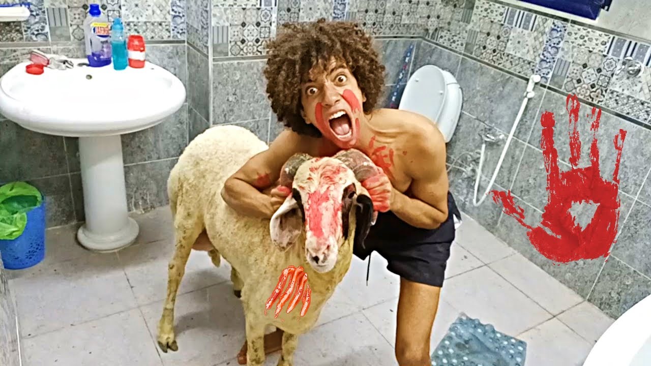 مقلب جبت خروف سعران و بيعض فى اصحابى مش هتصدقو عمل فيهم ايه