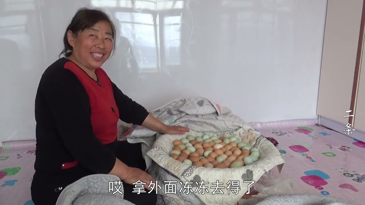 小鸡还有5天就破壳，老妈出门前安排下重要任务，二条能执行好吗