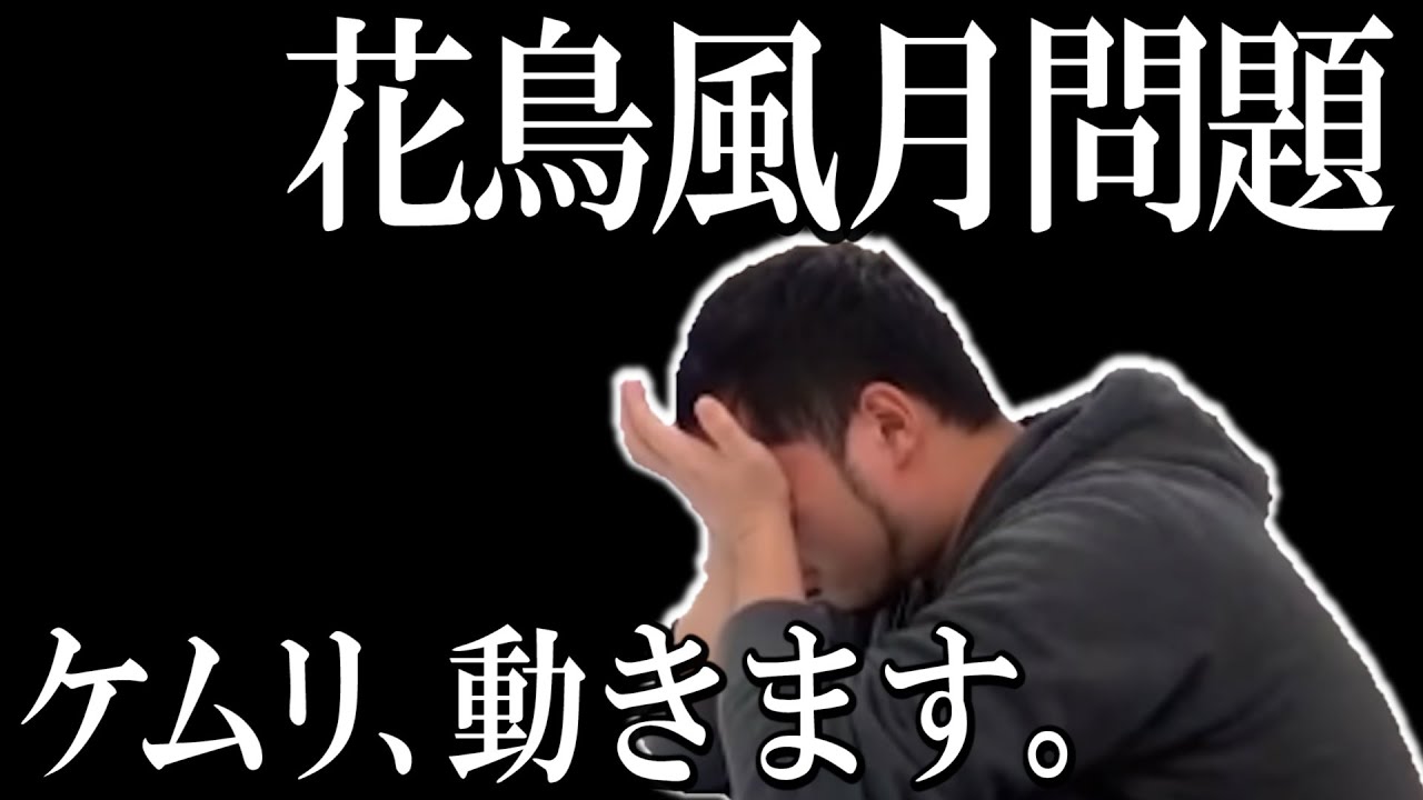 【緊急生配信】本当にみんな仲良くしようよ配信【ケムリ】