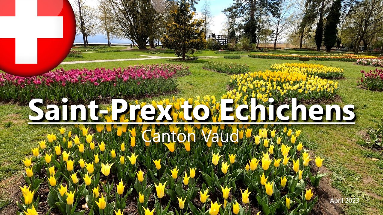 Family Simm - Saint-Prex to Echichens