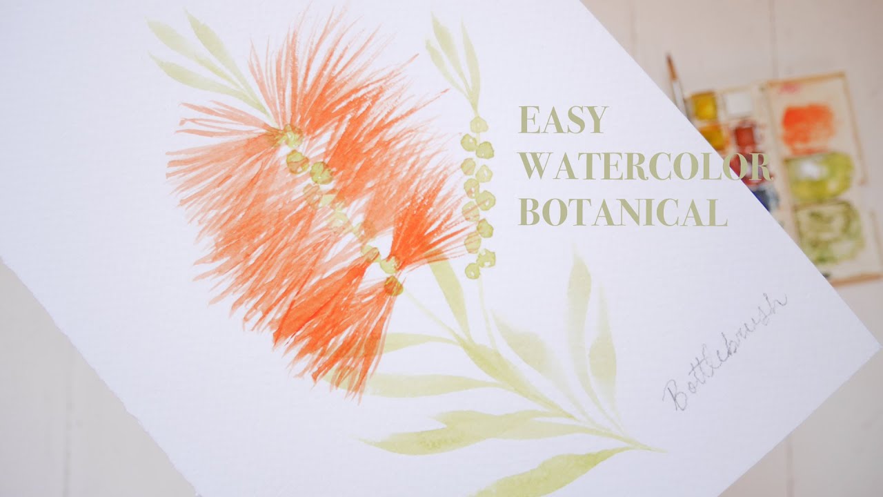 Easy Watercolor Australian Bottlebrush | Botanical Illustration For Beginners
