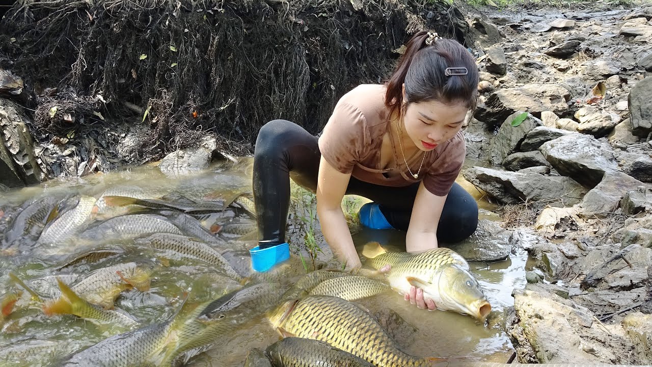 Amazing Fishing / Hunting Wild Fish / Unique Fishing / Fishing Techniques Catches Many Big Fish