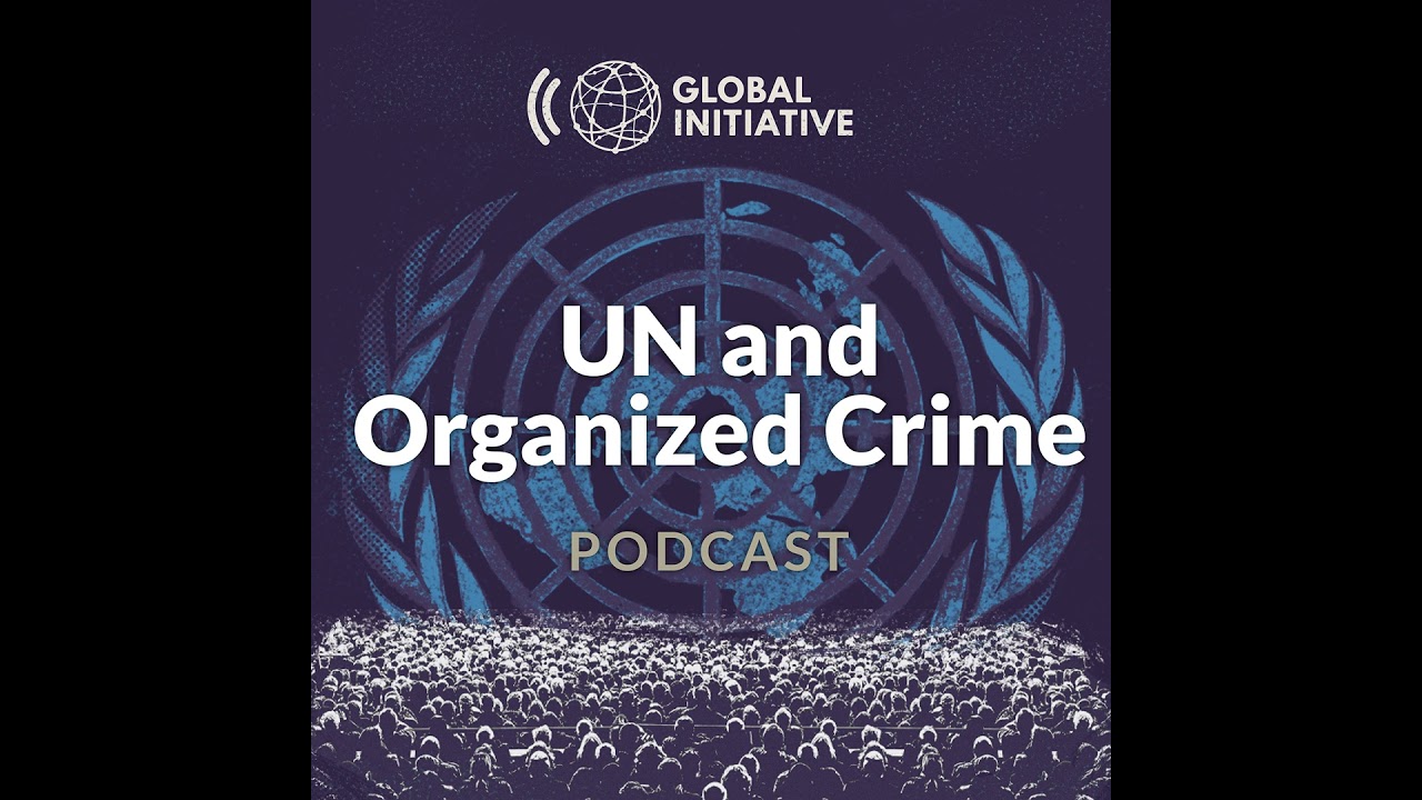 UN Cybercrime Negotiation Insights