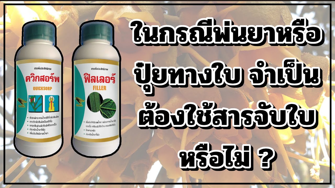 ในกรณีพ่นยาหรือปุ๋ยทางใบ จำเป็นต้องใช้สารจับใบหรือไม่ ?