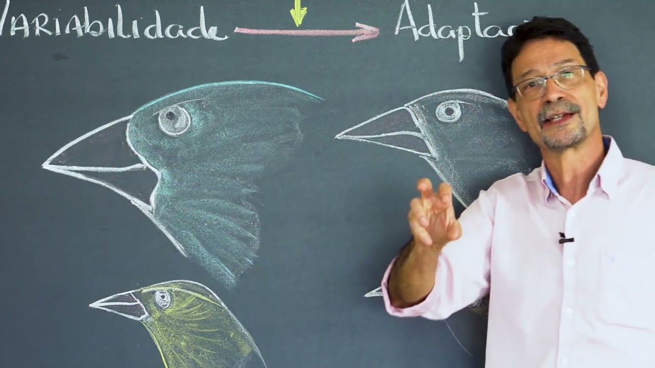 Darwinismo e Sele&ccedil;&atilde;o Natural (Evolu&ccedil;&atilde;o - EP3) I Biokrill S&eacute;ries