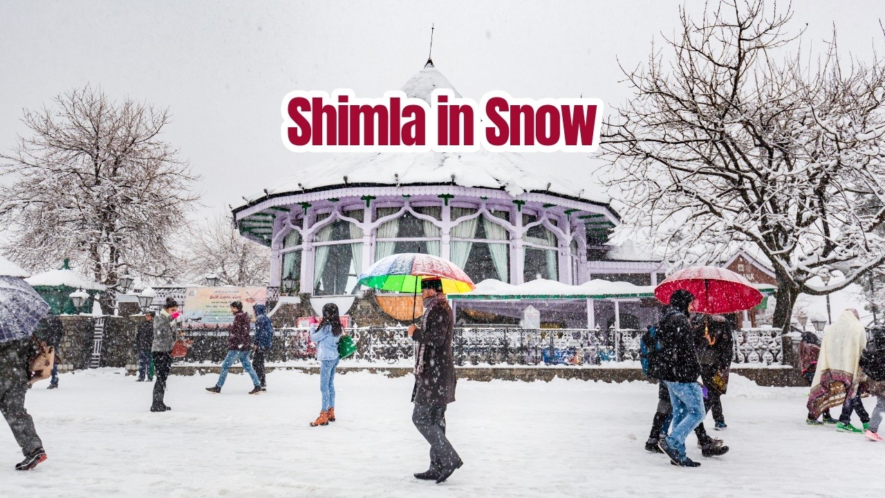 First Shimla Snowfall of the Season | Snow in Shimla 2026