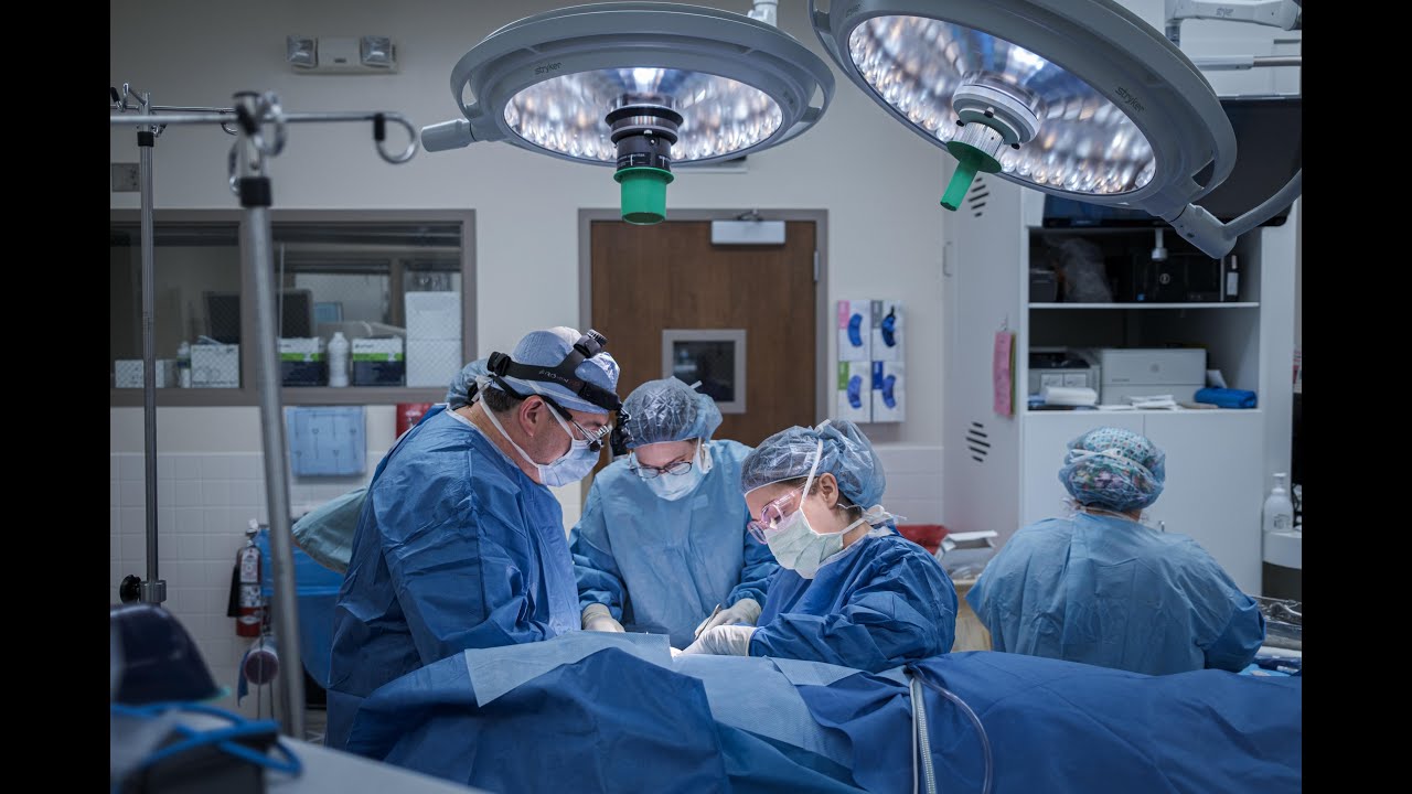 An Environment of Innovation and Inspiring Future Physician Innovators