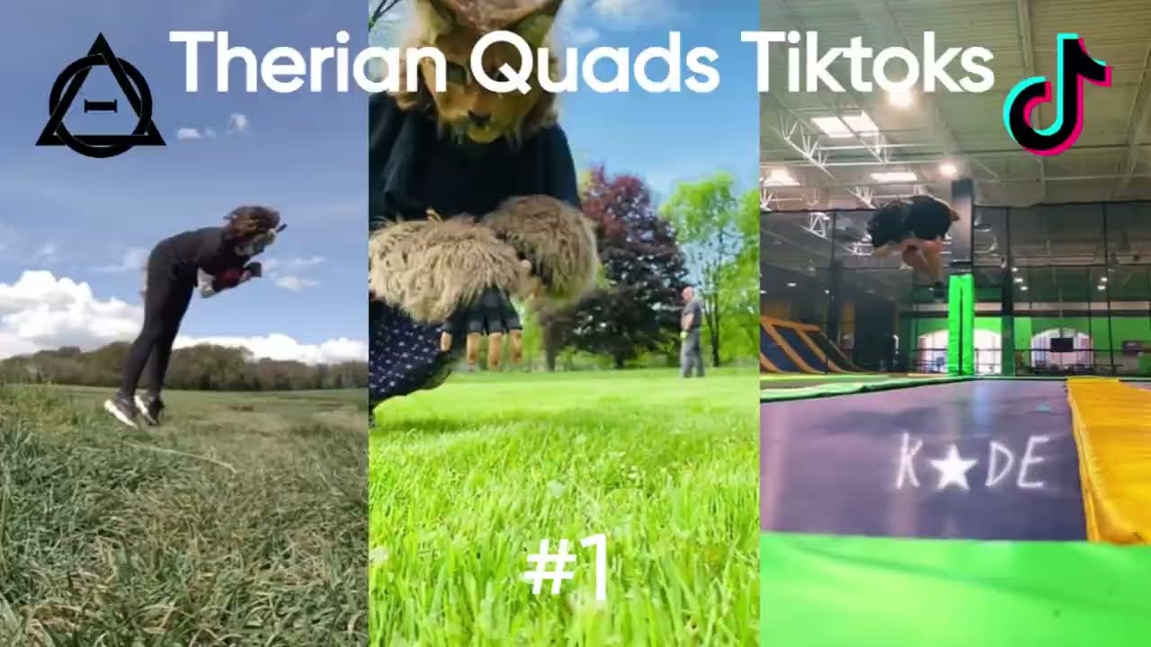 Therian Quadrobics Tiktoks #1 🌀