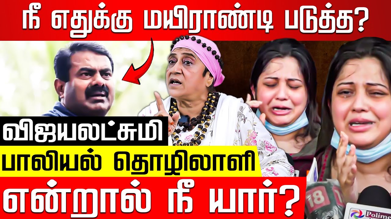 நானா இருந்தா சீமானை ***! பிரித்து மேய்ந்த Geetha! Gita | adv Geetha | Seeman Vijayalakshmi issue