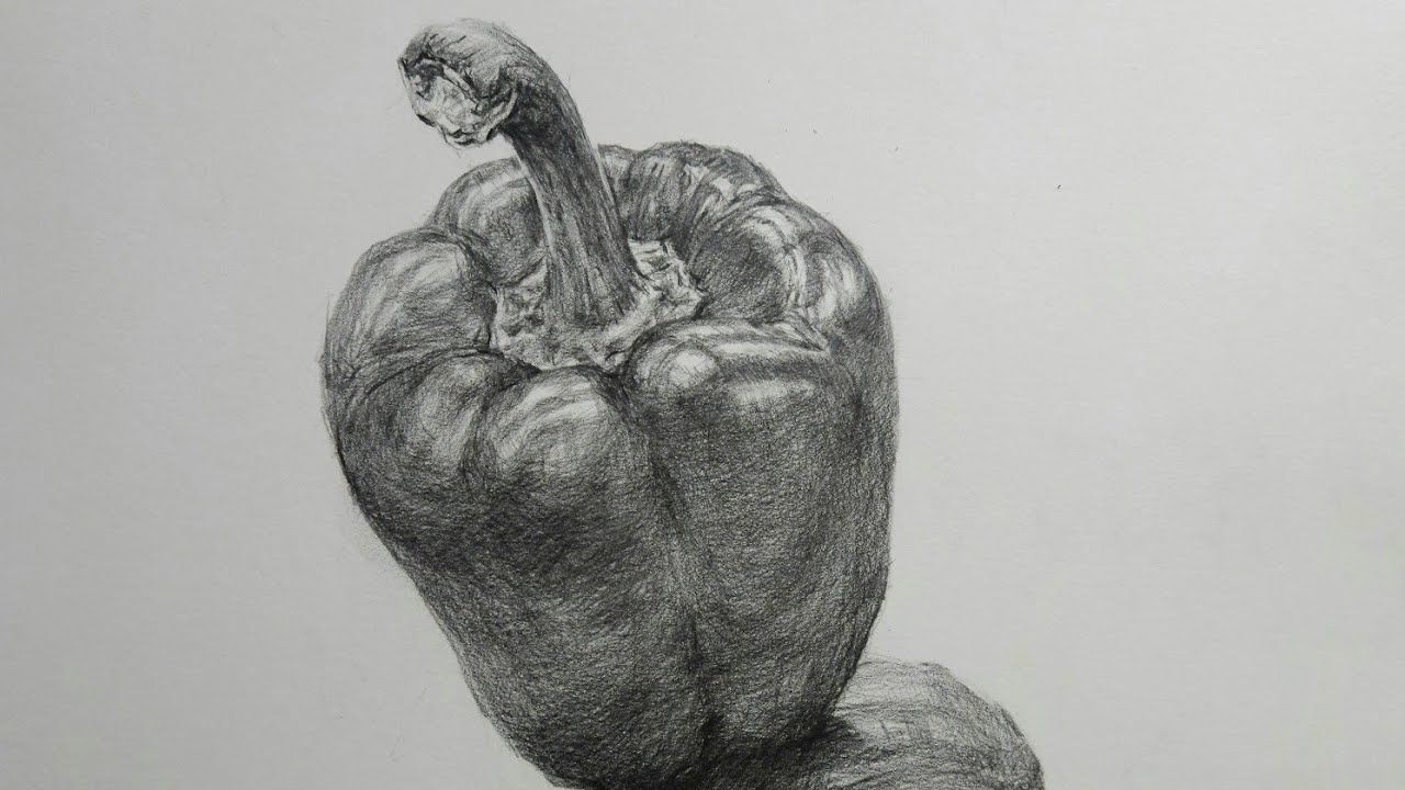 연필소묘 | 연필의 특징 1 | 스테들러연필 | 강티비전 라이브 스트리밍 중