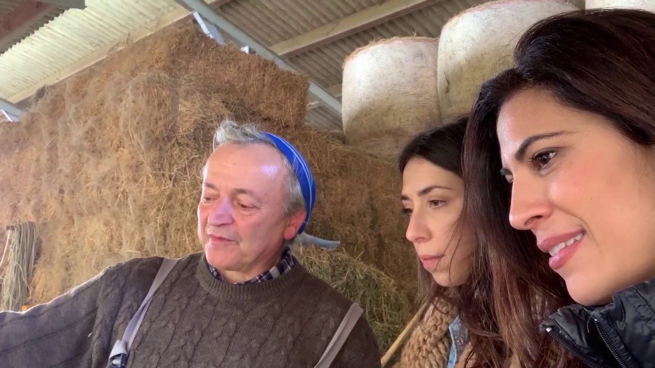 VERE ITALIE IN TOUR - Il viaggio parte da Grottazzolina