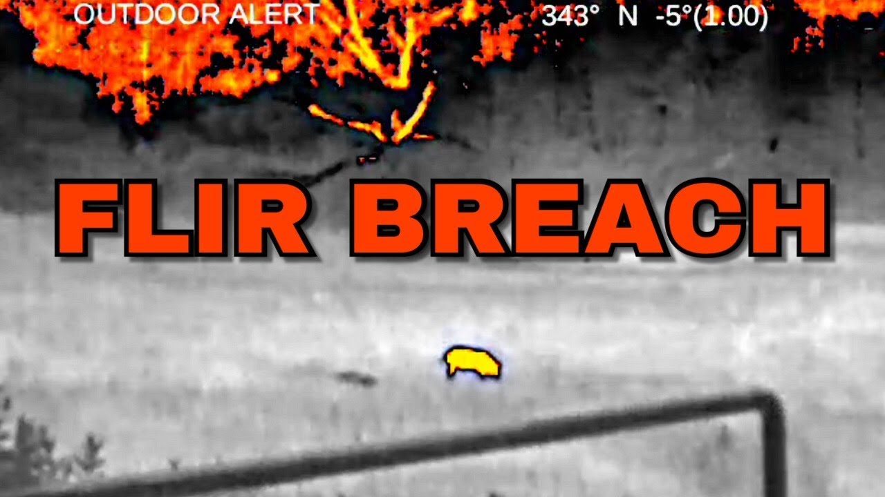 FLIR BREACH PTQ136 | Field Review!!!