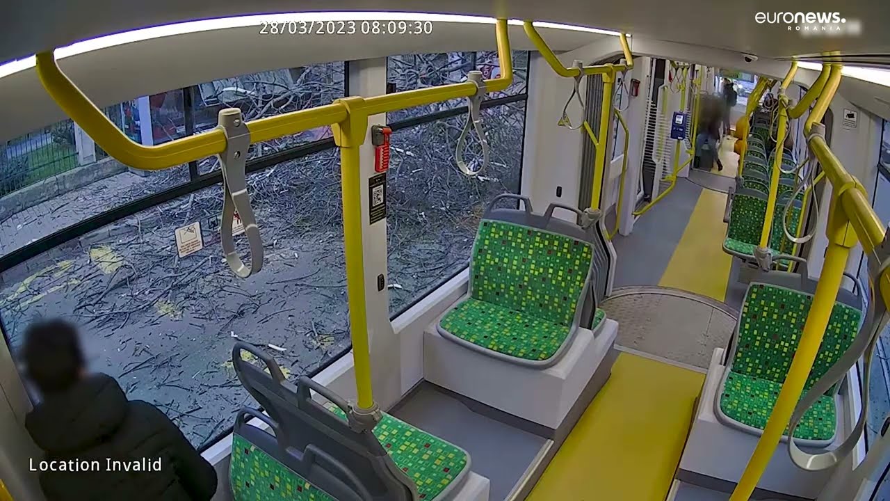 Copaci doborâți de vânt. În Iași, crengile unui copac au căzut peste o stație de tramvai