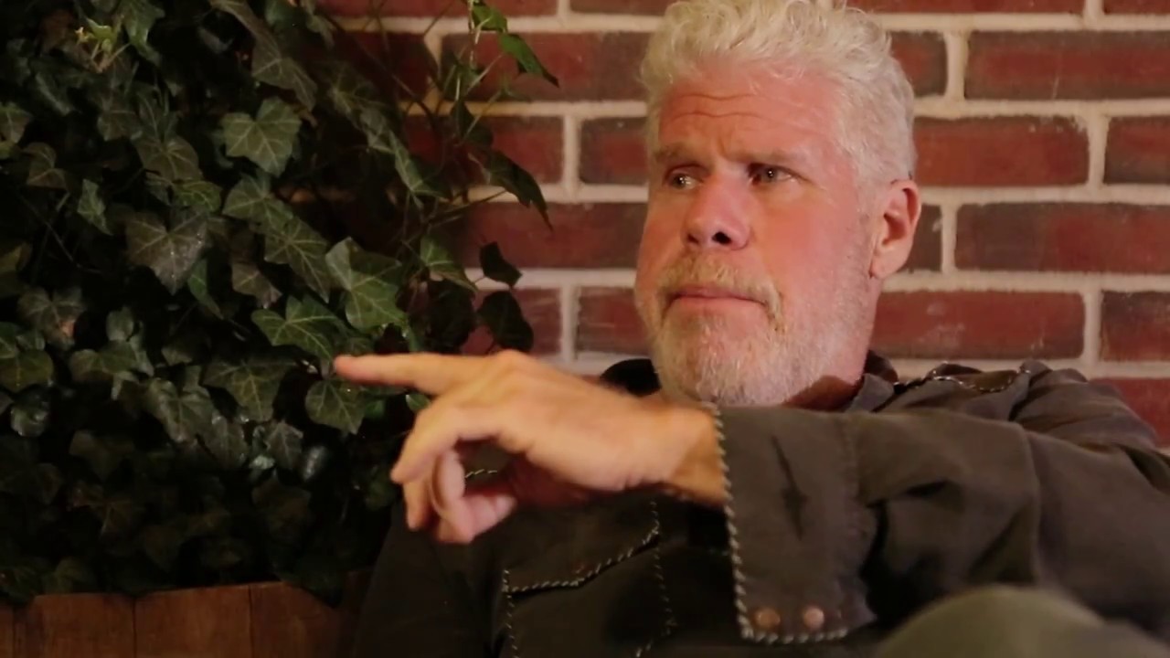 DISCONNEX.COM speaks with RON PERLMAN