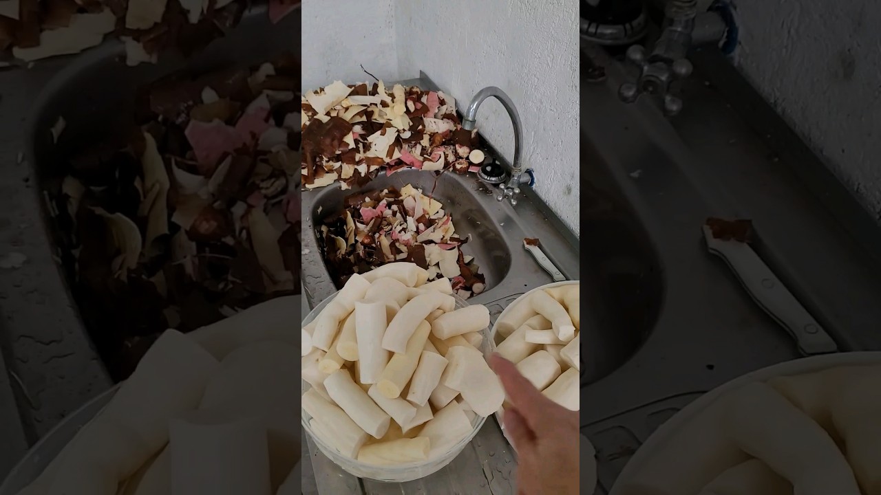 Forne&ccedil;a Casca da Mandioca para os Porcos e Isso Acontece