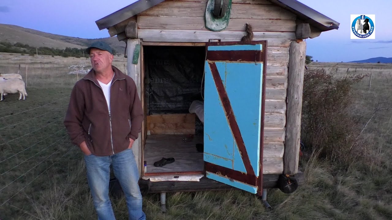 -Mirko Hajder elektropastirom štiti stado ovaca od najezde vuka u Glamočkom polju -