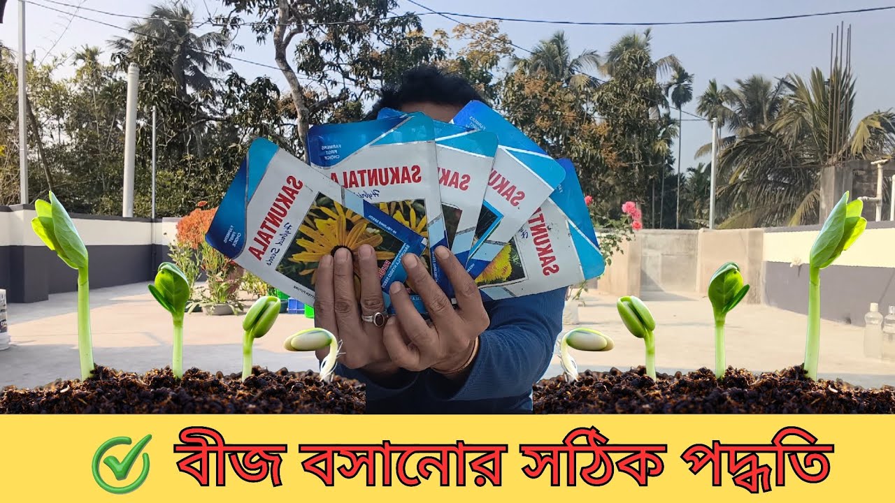 বীজ থেকে চারা তৈরি করার সঠিক পদ্ধতি | how to germinate seeds 