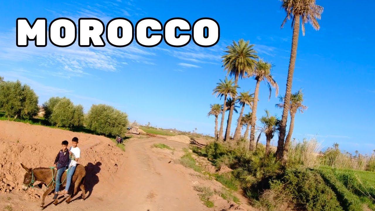 Horse riding in Morocco: Marrakech