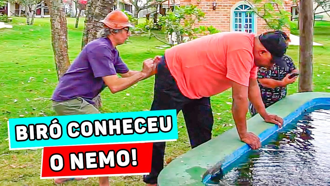 PROCURANDO NEMO! MUÇÃO FAZ BIRÓ IR PRA DENTRO DO TANQUE!