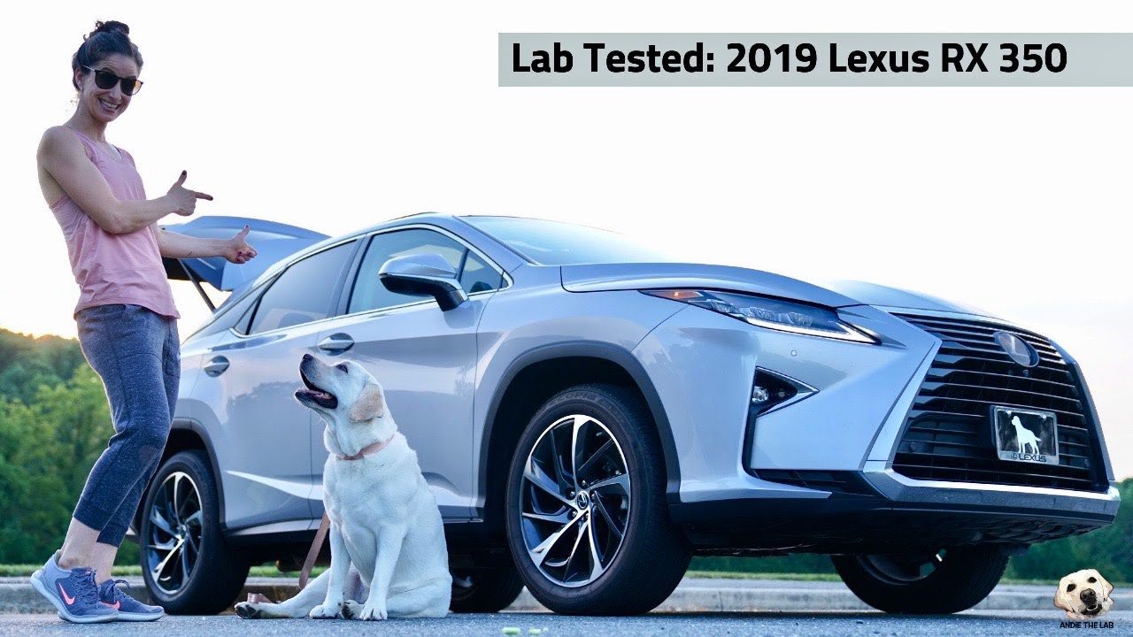 Lexus RX 350 AWD 2019 года: обзор лаборатории Энди!