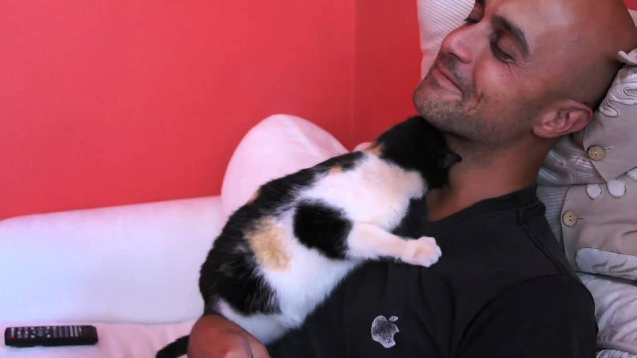The Affection (Reloaded)