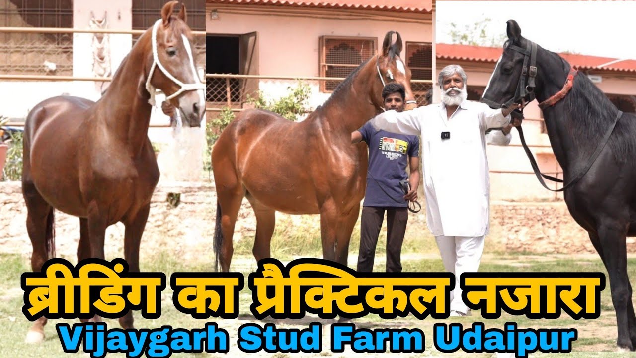पब्लिक जबतक सोचती है में उस से पहले स्टार्ट कर देता हूँ परवीण कोठारी
