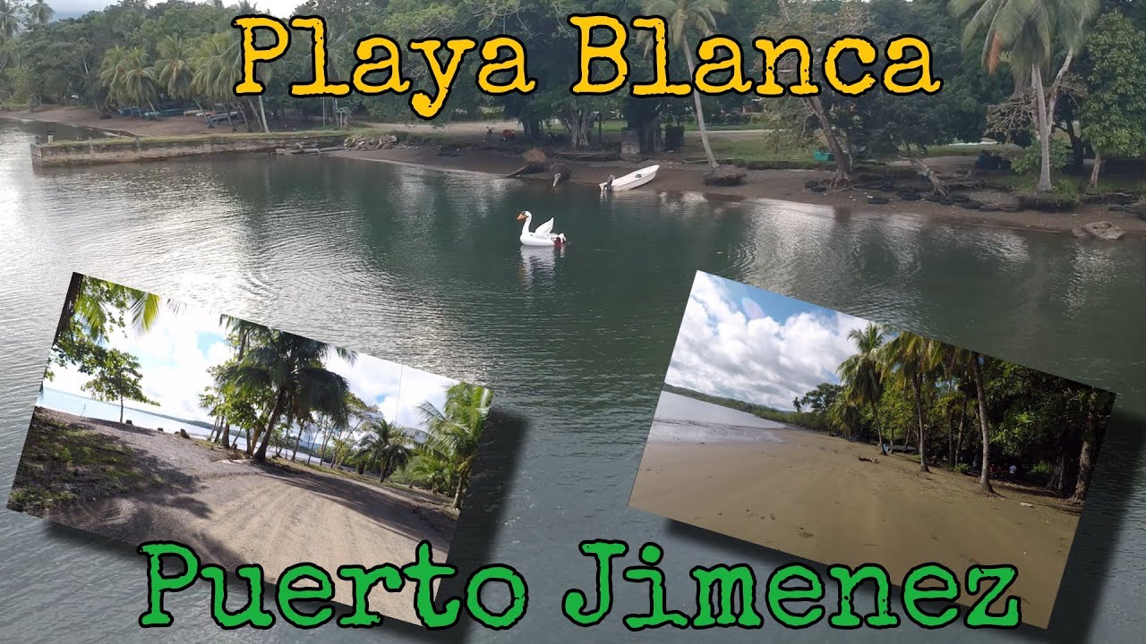 Conozca playa Blanca en Puerto Jiménez Zona Sur Costa rica