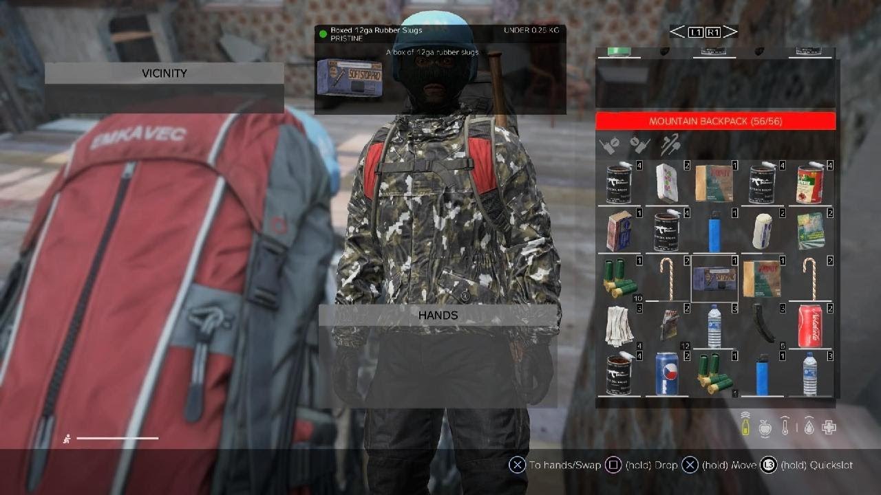 DayZ encounter