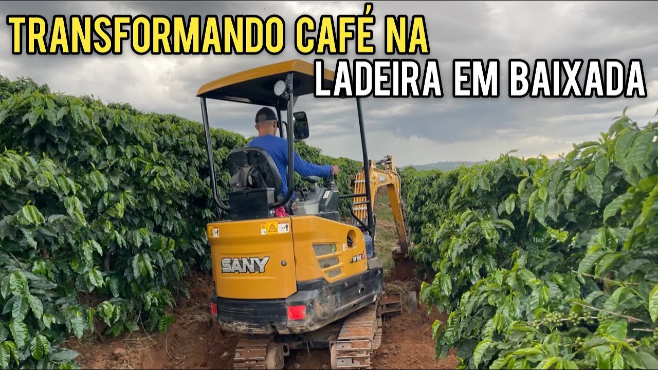 KAIQUE DOMANDO CAVALOS E JOVANIA NA SILAGEM DO MILHO