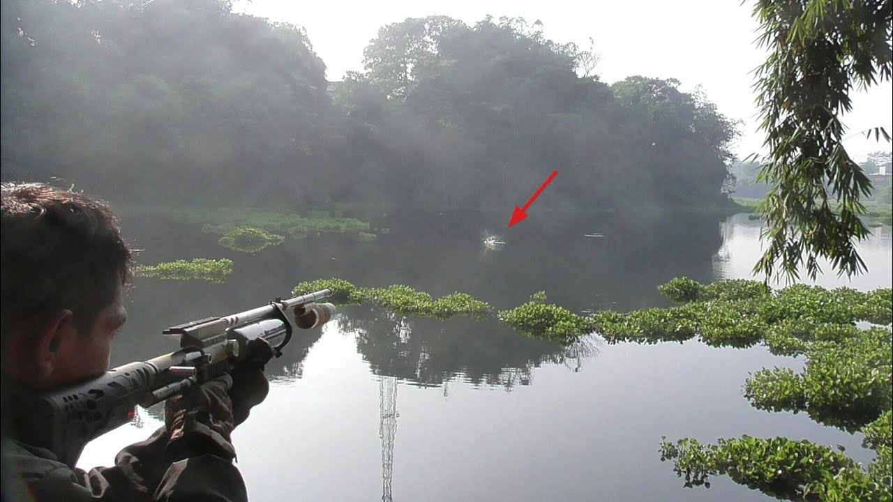 Harus bayak berlatih & sabar agar bisa melawan ikan monster yg satu ini...