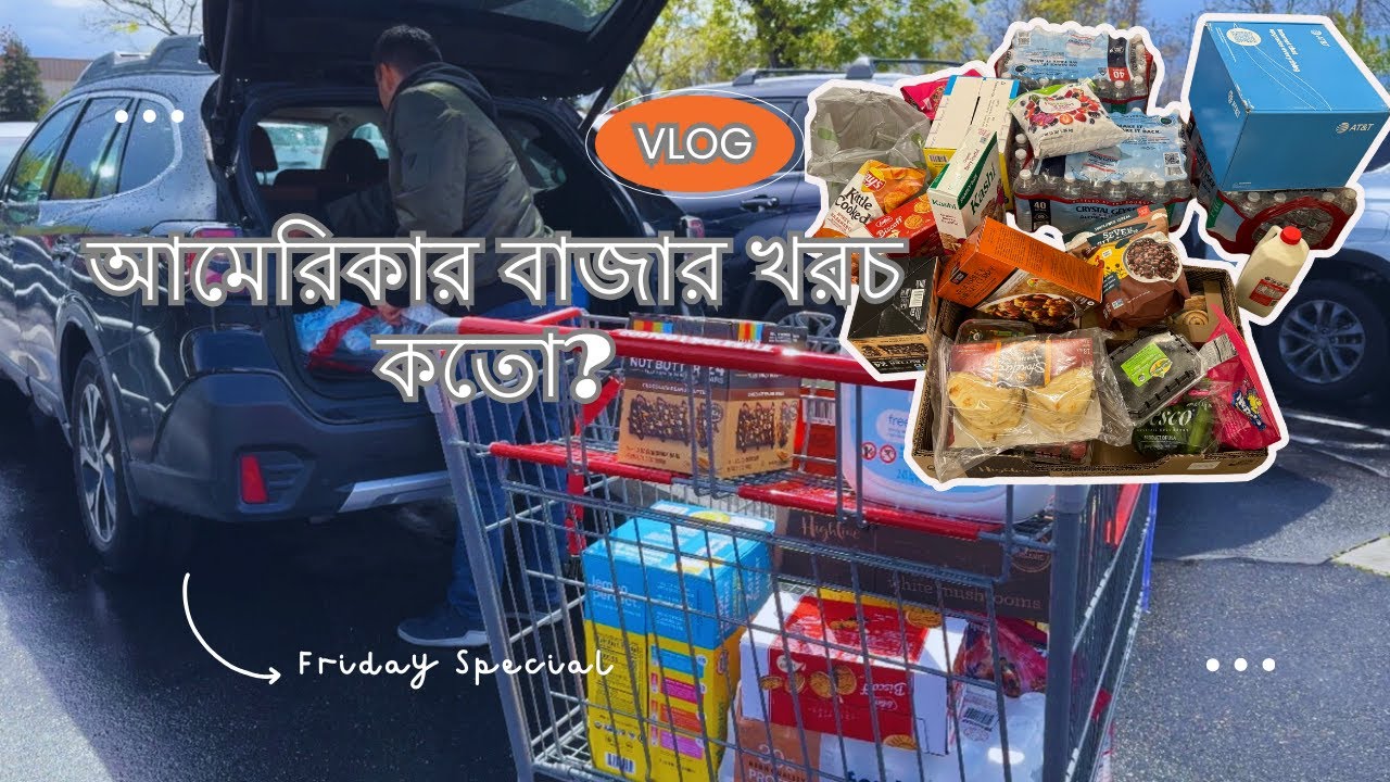Daily Vlog 18 | USA Living Cost | Petco + Costco Grocery Haul