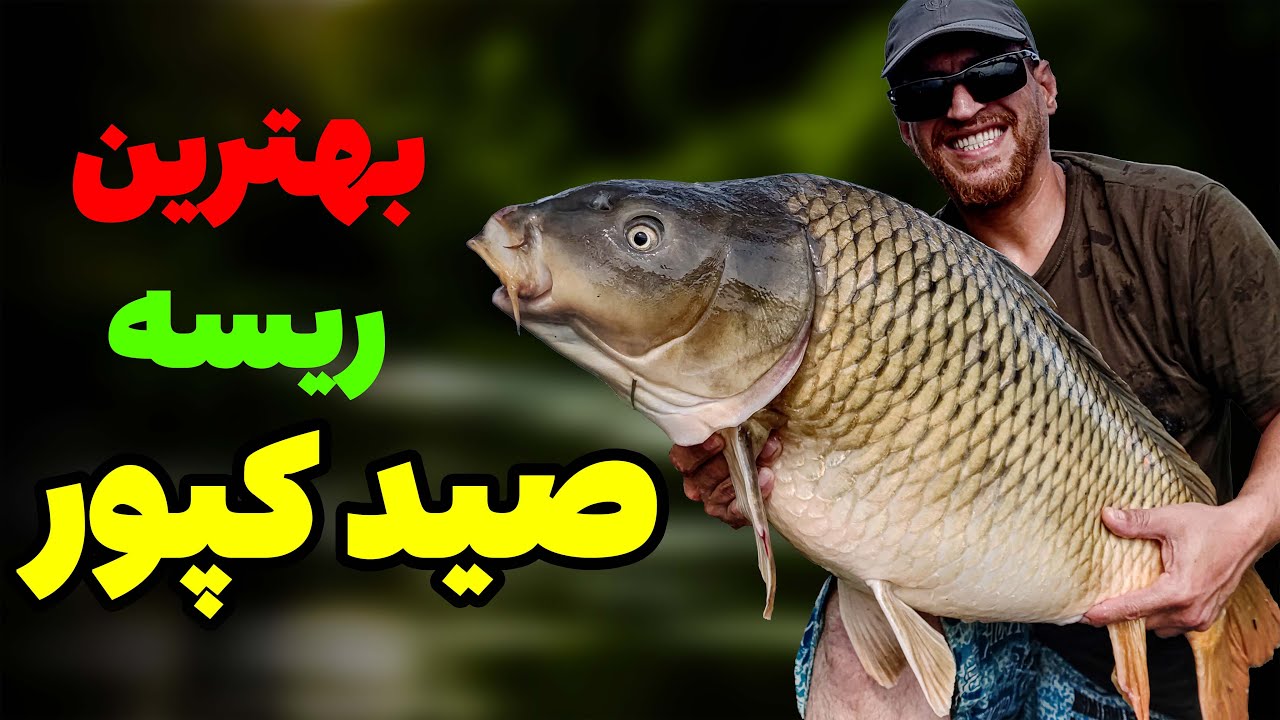 بهترین ریسه صید کپور برای بهترین ها