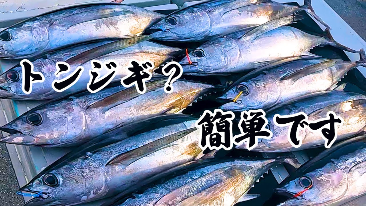 Vol.42【トンボジギング】東紀州トンジギバトル SPARKLE トンボマグロ絶対釣りたいそこのあなた！是非見てください！