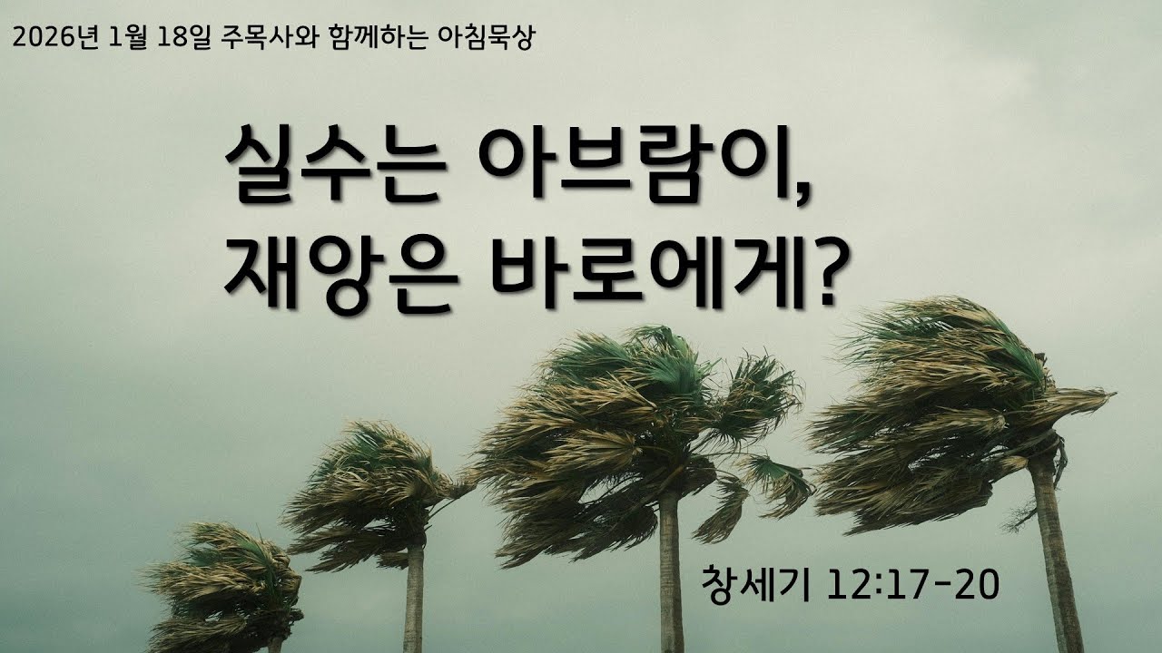 실수는 아브람이, 재앙은 바로에게? (창세기 12:17-20) 주목사와 함께하는 아침 묵상 (226)