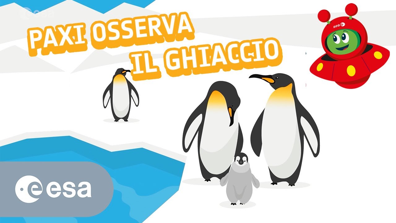 Paxi osserva il ghiaccio
