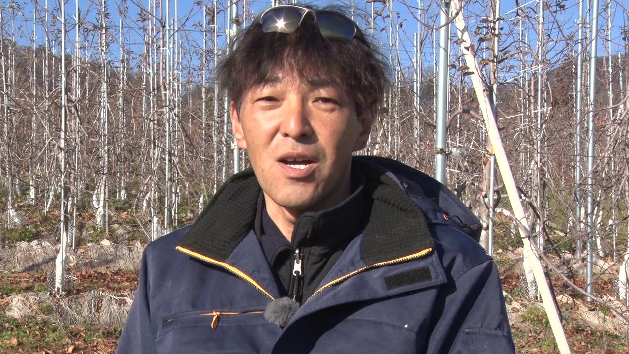 【ながの旬チャンネル】りんご高密植わい化栽培　豊川克己さん - 長野市農業公社