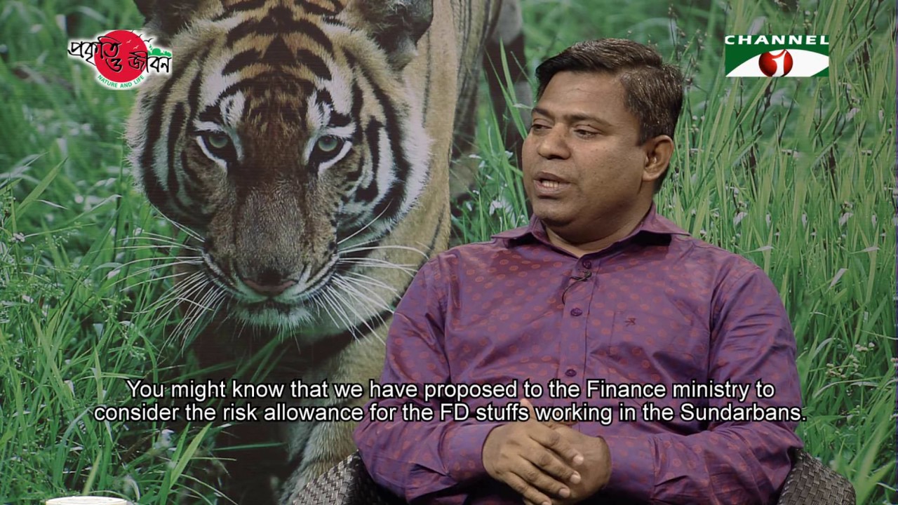 International Tiger Day 2017
