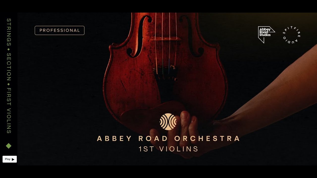 Abbey Road Orchestra 1st Violins - Please Raise Your Standards