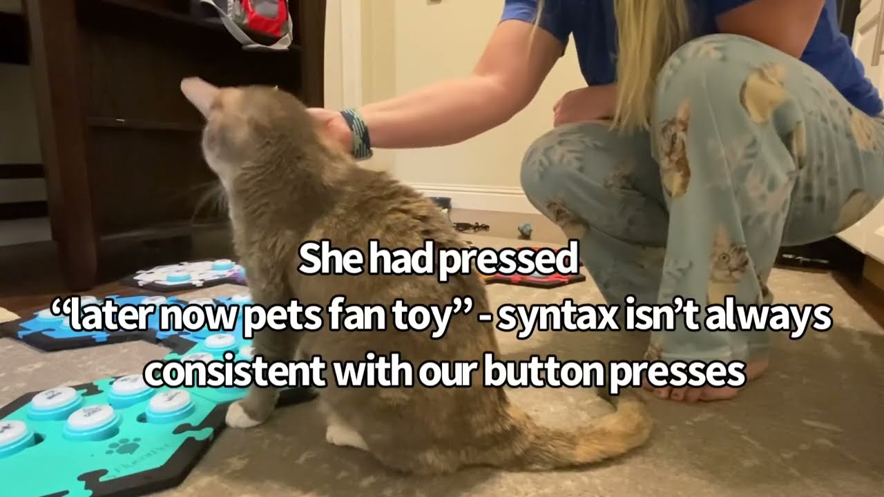 Does Syntax Matter With Buttons? | BilliSpeaks
