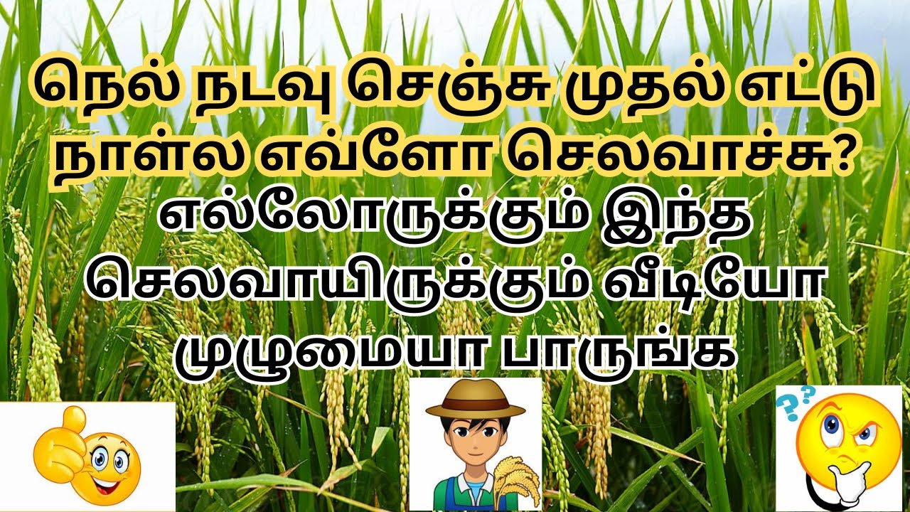 ADT 54 Cultivation Investment#tamil #thanjavur #cuddalore #trichy @NAAMUZHAVAN #pudukkottai #salem