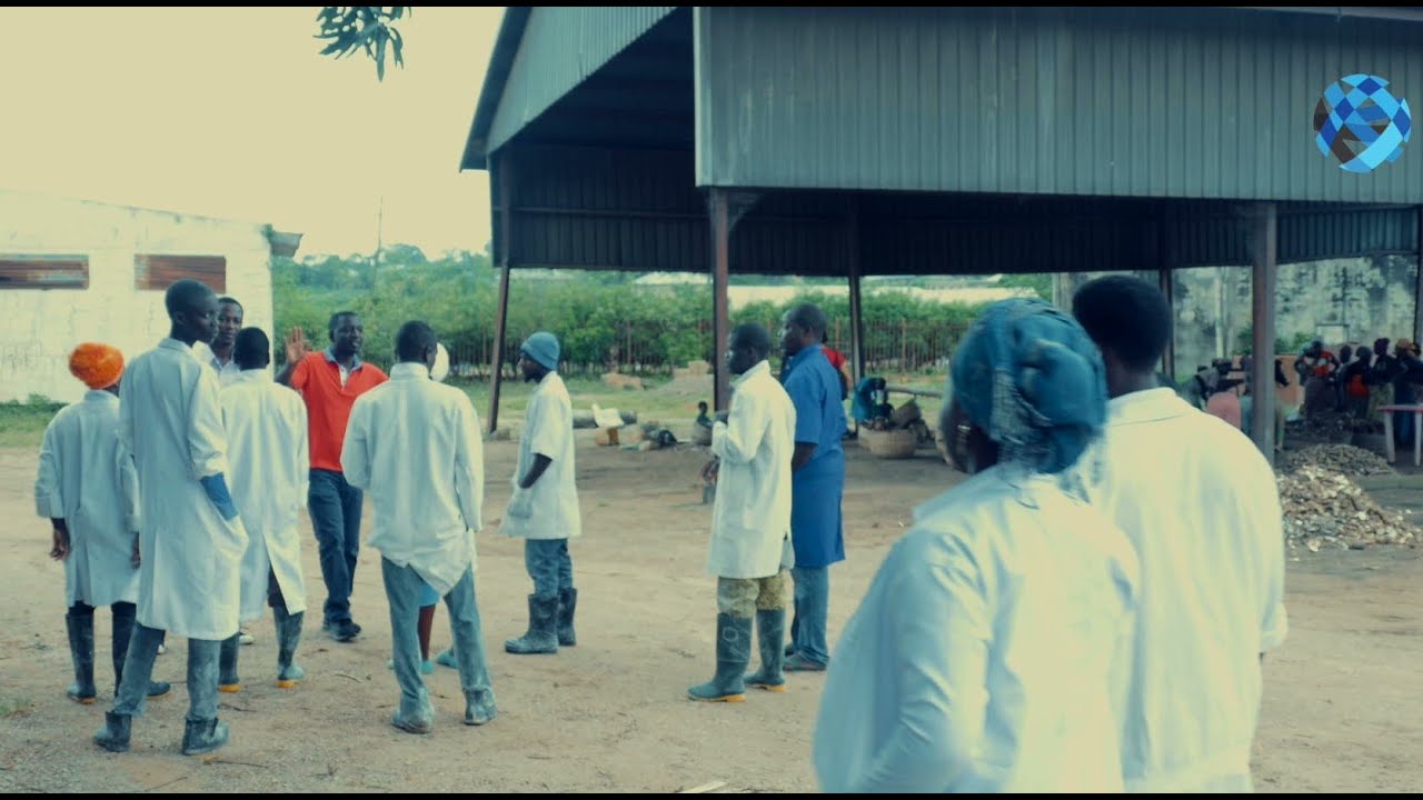 Part 2 Largest Cassava Farmer, Kolawole Adeniji, on Empowerment through Agribusiness.