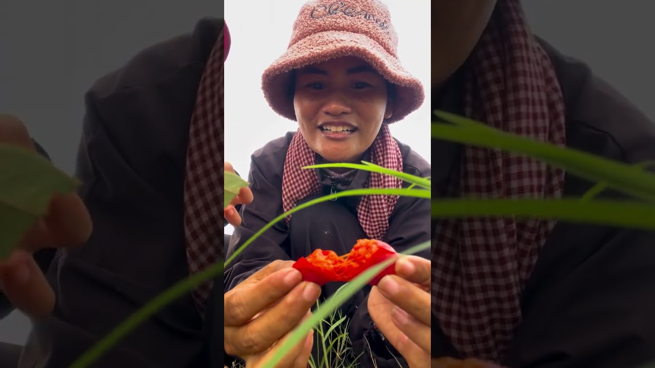 ផ្លែបាស