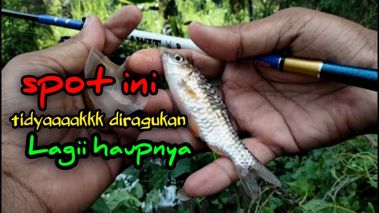 NEMU SPOT YG HAUUUPP BANGET SATU TITIK HAMPIR FULL TERMOS