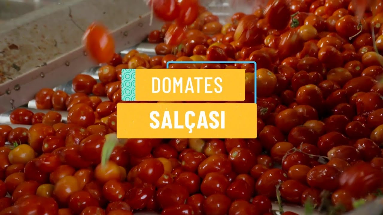 DOMATES SALÇASI