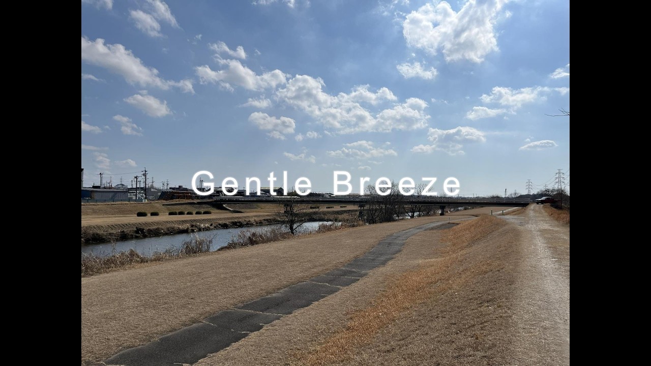 Wind Sounds & Riverbank Breeze | Dark Screen after 15min |
