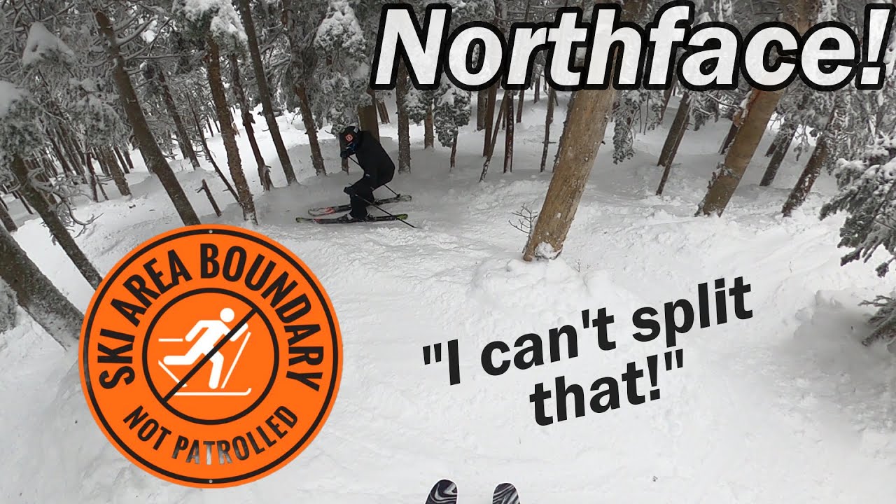 Mount Snow INSANE GLADES