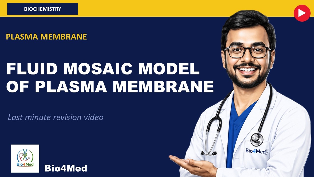 Fluid mosaic model of the plasma membrane for exams ✅️